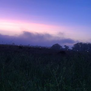 Meet your Posher, Kaely